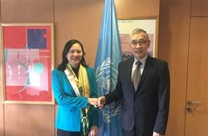 Углубление сотрудничества между Вьетнамом и ЮНЕСКО