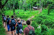 Вьетнаму рекомендуется развивать лесной экотуризм