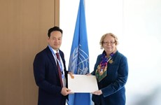 Дипломат: Вьетнам хочет продолжать развивать сотрудничество с ООН