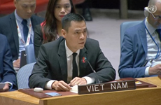 Вьетнам продолжает призывать к прекращению огня в секторе Газа.