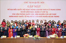 Председатель НС Выонг Динь Хюэ высоко оценивает вклад женщин-законодателей