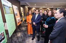 Премьер-министр встретился с представителями вьетнамских интеллектуалов и экспертов в Австралии