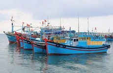 Решительное устранение существующих проблем в борьбе с незаконным выловом рыбы