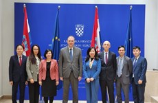 Создание импульса для продвижения сотрудничества между Вьетнамом и Хорватией