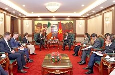 Расширение торгового и инвестиционного сотрудничества между Вьетнамом и Ирландией