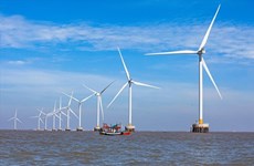 PTSC демонстрирует активное участие в проектах по развитию морской ветроэнергетики