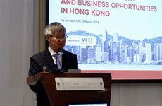 Деловая встреча освещает возможности делового и инвестиционного сотрудничества между Вьетнамом и Гонконгом (Китай)