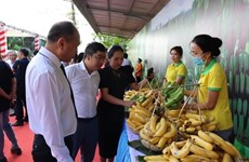 Множество возможностей для экспорта сельскохозяйственной продукции Вьетнама в Японию