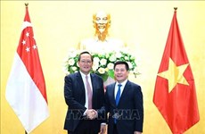 Вьетнам и Сингапур углубляют экономическое и энергетическое сотрудничество