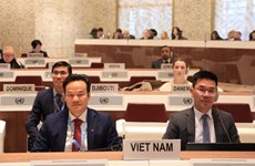 Вьетнам призывает к защите гражданских лиц в вооруженных конфликтах