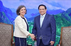 Премьер-министр Фам Минь Тьинь принял нового посла Испании во Вьетнаме
