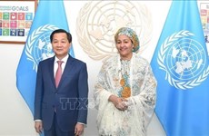 Заместитель премьер-министра Ле Минь Кхай встречается с заместителем генерального секретаря ООН