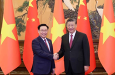 Председатель НС Выонг Динь Хюэ встретился с Генеральным секретарем ЦК КПК, Председателем КНР Си Цзиньпином