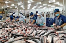 Китай, США, Япония - крупнейшие импортеры вьетнамской рыбопродукции в 1 квартале