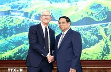 Премьер-министр Фам Минь Тьинь принял генерального директора компании Apple