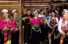 Защита и продвижение ценностей нематериального культурного наследия Вьетнама