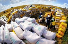 Вьетнам заработал 1,43 млрд. долл. США на экспорте риса в первом квартале