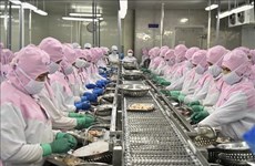 Экспорт креветок Вьетнама на основные рынки стремительно увеличивается