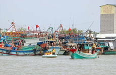 Правительственная программа действий направлена на борьбу с незаконным рыболовством