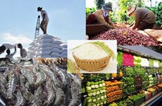 Республика Корея - растущий рынок для экспорта сельскохозяйственной, лесной и рыбной продукции Вьетнама