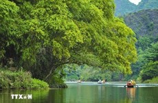 Доходы Вьетнама от туризма за четыре месяца составили 271,4 триллиона донгов