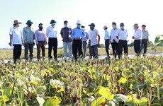 Провинция Ниньтхуан стремится увеличить производство в сухой сезон