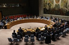 Вьетнам председательствует на сессии СБ ООН по Йемену и Колумбии
