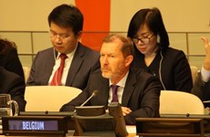 Зарубежные дипломаты поздравляют Вьетнам с исполнением роли президента СБ ООН