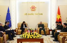 Вьетнам приглашен присоединиться к учебной миссии ЕС в Центральноафриканской Республике