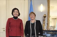 Верховный комиссар ООН высоко оценивает достижения Вьетнама в области прав человека