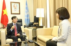 Посол: Вьетнам достиг целей в течение месяца председательства в СБ ООН 