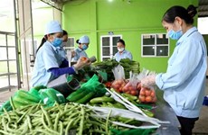 Камбоджа еще не опубликовала документы, запрещающие ввоз вьетнамских фруктов и овощей