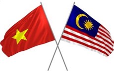 Отношения Вьетнама и Малайзии улучшатся после подписания RCEP