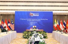 АСЕАН 2020: открывается заседание Рабочей группы Координационного совета по чрезвычайным ситуациям в области здравоохранения