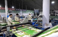 Вьетнам может похвастаться огромными возможностями для привлечения иностранных инвестиций