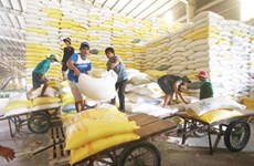 Вьетнаму необходимо продвигать создание бренда для экспорта риса