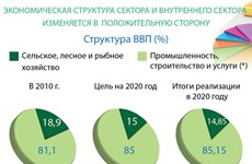 10 лет реализации стратегии социально-экономического развития 2011-2020 гг.