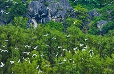 Вьетнам развивает сотрудничество в области охраны природы с WWF