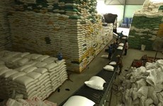Возможности Вьетнама для поддержания стабильного экспорта риса на Филиппины