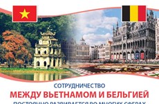 Вьетнамско-бельгийское сотрудничество постоянно развивается во многих сферах