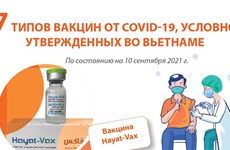 7 типов вакцин от COVID-19, условно утвержденных во Вьетнаме