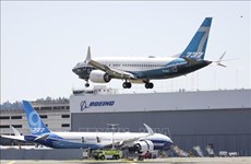 CAAV предлагает разрешение на импрот самолетов Boeing 737 Max