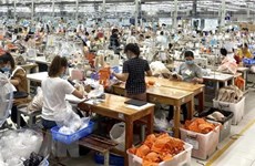 Хошимин: производители стремятся восстановить производство