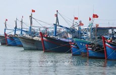 Вьетнам преисполнен решимости убрать «желтую карточку» ЕК, чтобы сектор морепродуктов устойчиво интегрировался и развивался