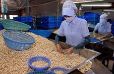 Экспорт Вьетнама в Камбоджу вырос на 16,7% за 8 месяцев