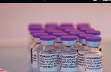 Утверждена вакцина Pfizer против COVID-19