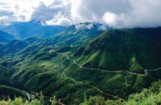 Лаокай получает помощь USAID в области устойчивого лесопользования
