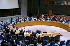 Вьетнам призывает к переговорам и укреплению доверия в Сирии