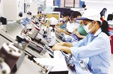 Частный бизнес во Вьетнаме: рост как количества, так и качества