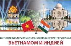 Содействие всестороннему стратегическому партнерству между Вьетнамом и Индией